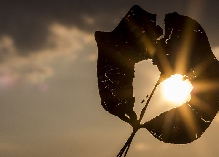 Stres otežava oporavak od srčanog udara, posebno kod žena